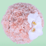 pink-carnations-box-white-orchid (3)