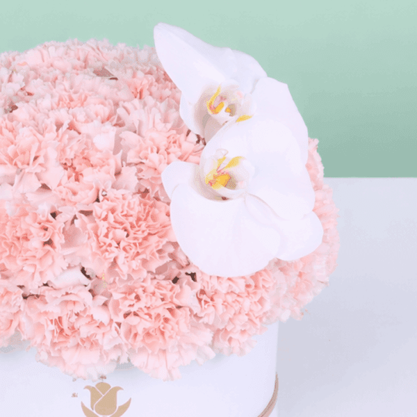 A white box filled with pink carnations finished with a white orchid accent.