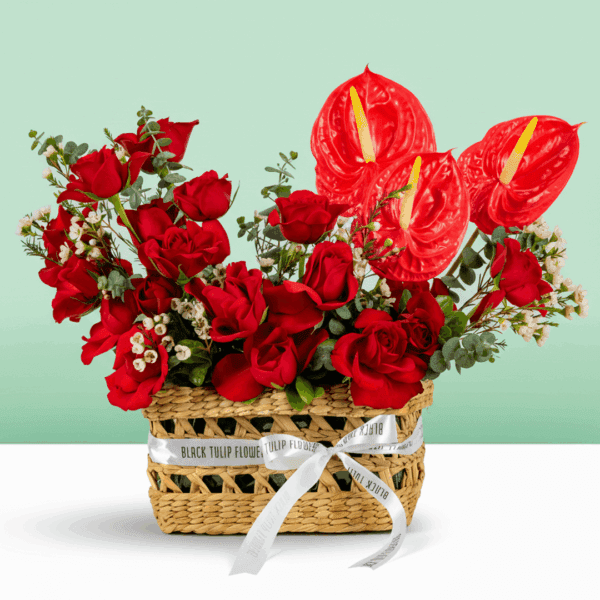 A beautifully arranged rectangle basket featuring 25–30 vibrant red roses, complemented by exotic red Anthurium and delicate Waxflower stems