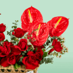 red-desire-valentine-roses (2)