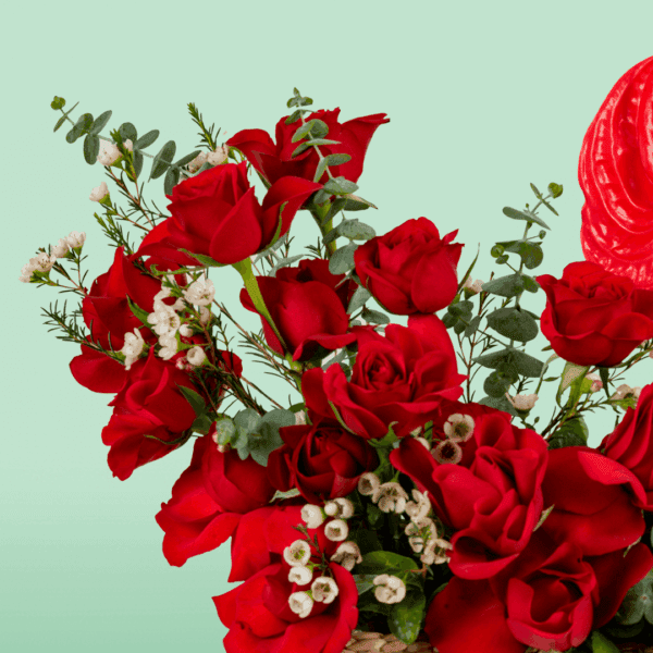 A beautifully arranged rectangle basket featuring 25–30 vibrant red roses, complemented by exotic red Anthurium and delicate Waxflower stems
