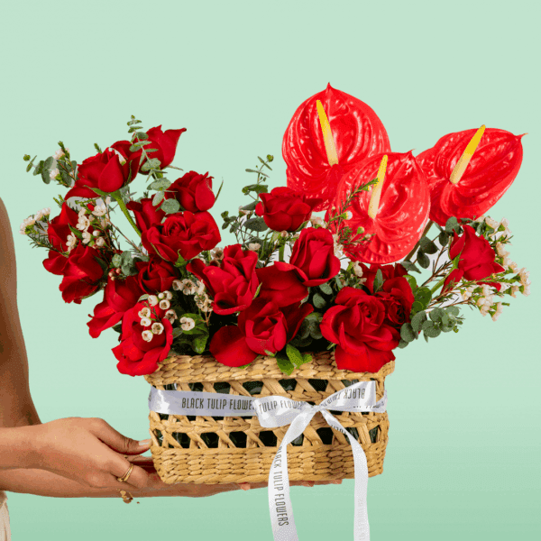A beautifully arranged rectangle basket featuring 25–30 vibrant red roses, complemented by exotic red Anthurium and delicate Waxflower stems