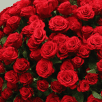 red-rose-basket-arrangement-gold-ribbon (5)