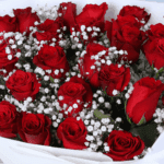 red-roses-babys-breath-white-wrap (4)