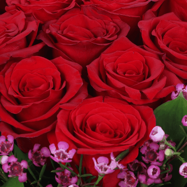 red-roses-purple-fillers-box (5) A black box featuring red roses in heart shape with purple filler flowers and green foliage.