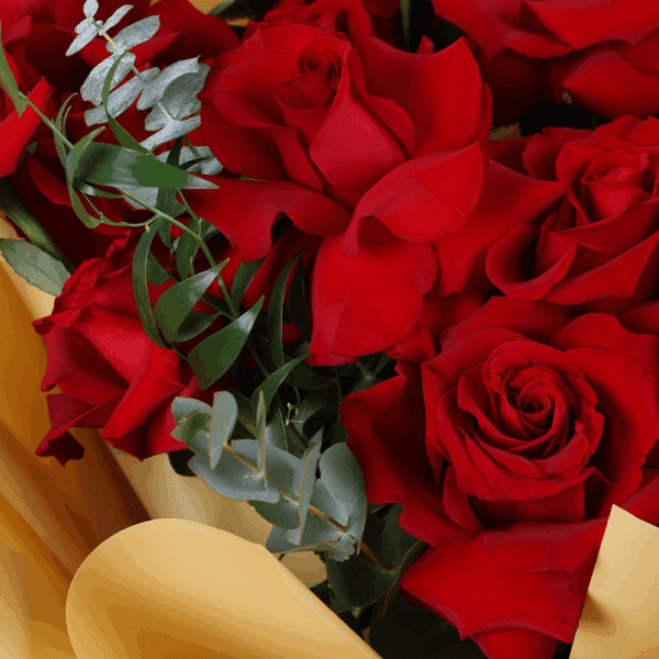 Red roses bouquet with baby’s breath wrapped in white and tied with a black ribbon.