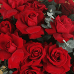 red-roses-valentine-bouquet-gold-wrap (5)