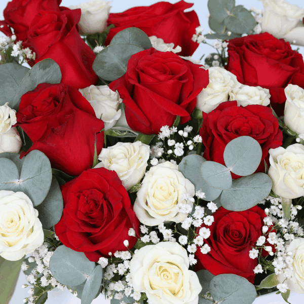 A white round flower box filled with red roses, white spray roses, baby’s breath, and eucalyptus.
