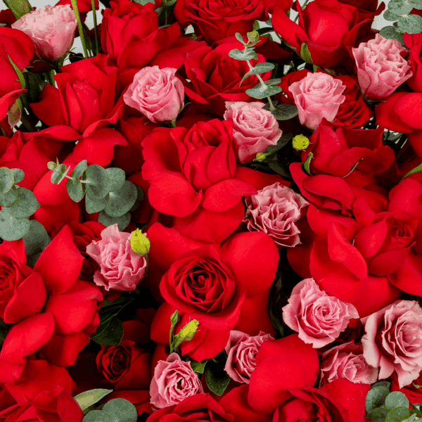 A striking floral arrangement featuring flowers all elegantly arranged in a round red box to symbolize fiery love and romance