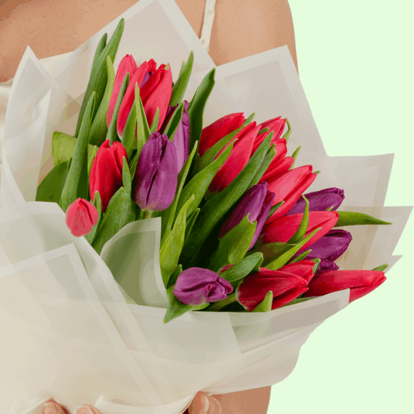 valentine-pink-purple-tulip-bouquet (4) Pink and Purple tulip bouquet is wrapped in a white Korean-style wrapping sheet