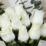 white-roses-bouquet-eucalyptus (3)