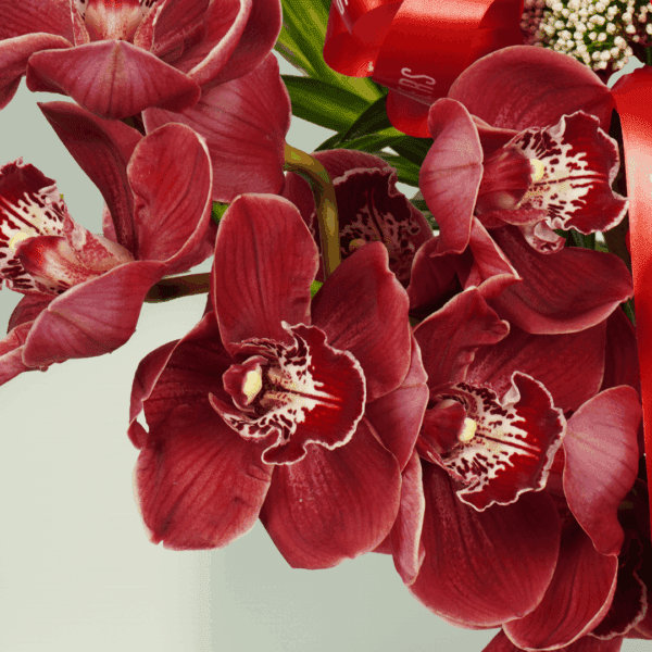 Luxury rose and cymbidium flower arrangement with red roses, cymbidium orchids, allium, and amaranthus displayed in a clear glass vase.