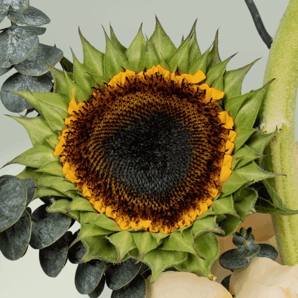 Beautiful sunflower and rose flower arrangement with crespedia, eucalyptus, wax flowers, and curly salix styled in a clear glass vase.
