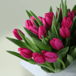 Mom’s Tulip Harmony (5)