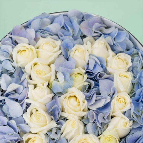 Team Argentina - Messi Fan Edition floral box with blue and white flowers inspired by Argentina football colors, arranged in a luxury fan-themed flower box for Messi supporters.