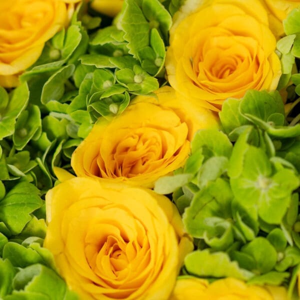 Team Brazil - Neymar Fan Edition floral box with vibrant yellow flowers, green accents, and football-inspired arrangement celebrating Brazil team spirit and Neymar fandom.