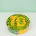 Team Brazil (2)