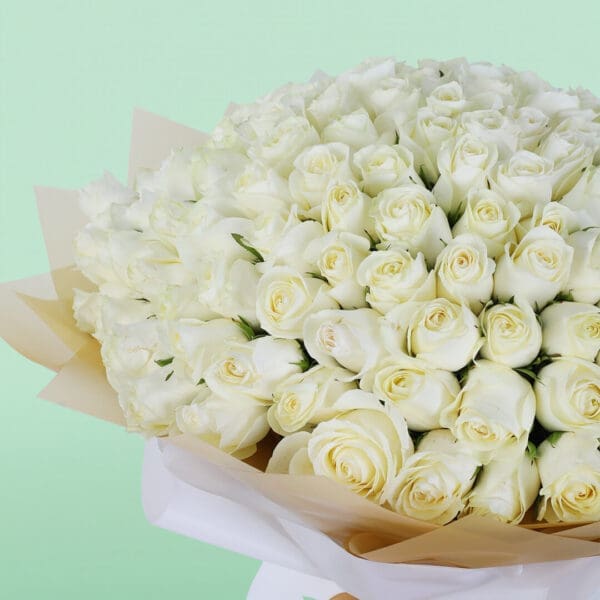 A bouquet of 100 fresh white roses beautifully arranged in a white sheet with a satin ribbon for elegant gifting and special occasions.