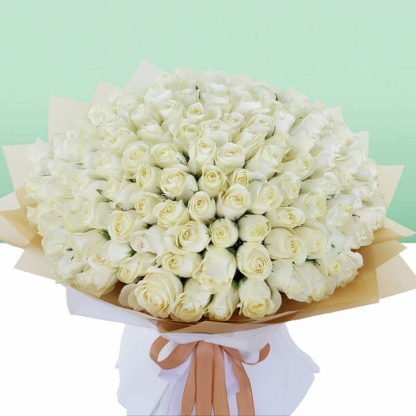 A bouquet of 100 fresh white roses beautifully arranged in a white sheet with a satin ribbon for elegant gifting and special occasions.