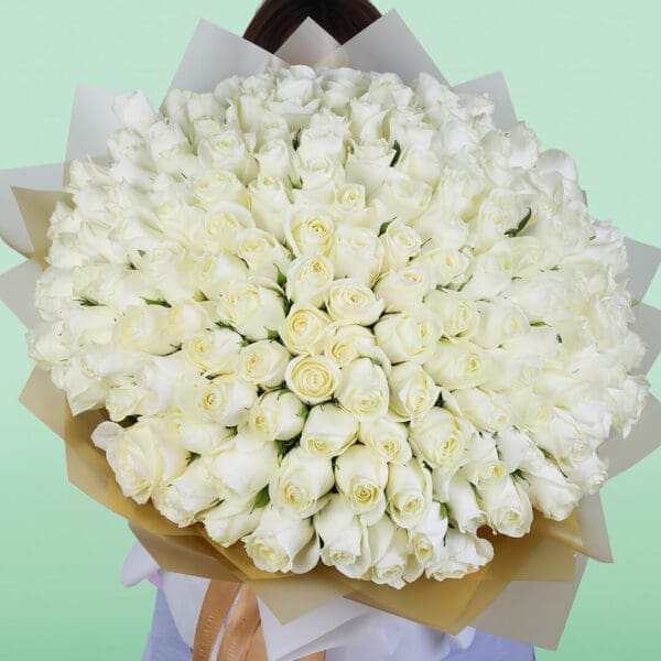 A bouquet of 100 fresh white roses beautifully arranged in a white sheet with a satin ribbon for elegant gifting and special occasions.
