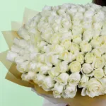 100-white-roses-bouquet_2026_03