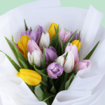 Mixed Hue Tulips (1)
