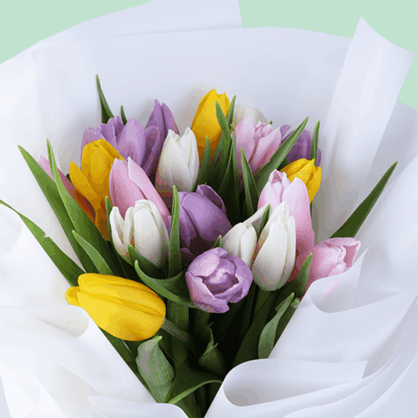 Fresh assorted tulip bouquet featuring 20 colorful stems wrapped beautifully in a non-woven floral paper.