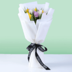 Mixed Hue Tulips (3)