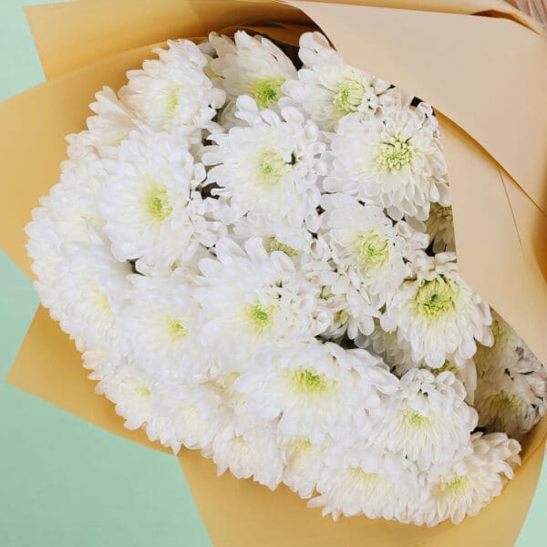 A beautiful gathering of 10 fresh white chrysanthemums arranged in a stylish floral wrap.