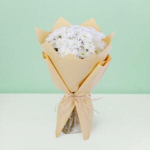 A beautiful gathering of 10 fresh white chrysanthemums arranged in a stylish floral wrap.