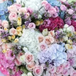 assorted-floral-wrap_2026_04