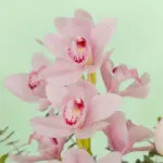 assorted-luxe-floral-vase (5)