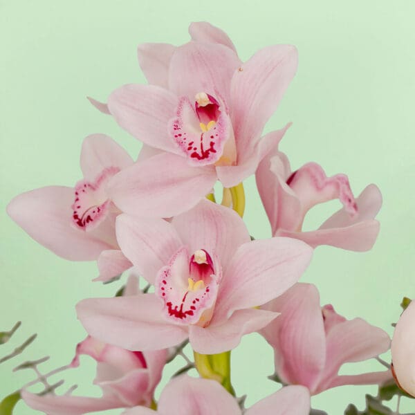 Mixed fresh flower bouquet arranged in a premium ceramic vase with a vibrant and elegant presentation.