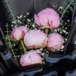 pink-peony-bouquet (1)