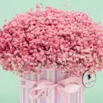 rosy-charm-box (1)