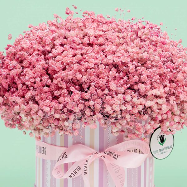 Luxury pink baby's breath flower box showcasing delicate gypsophila blooms artistically presented in a premium round box.