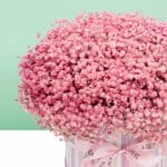 rosy-charm-box (3)
