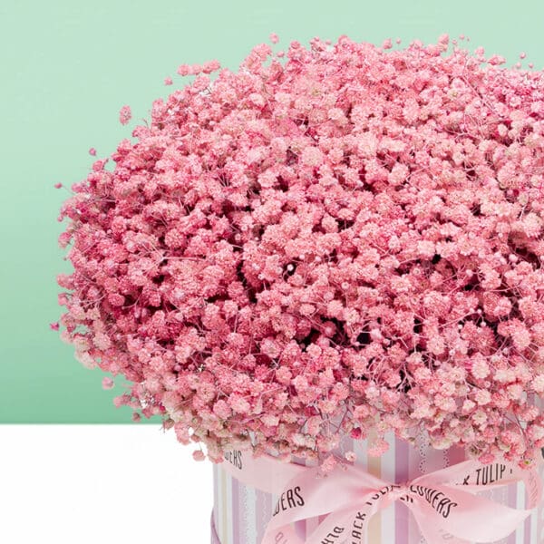 Luxury pink baby's breath flower box showcasing delicate gypsophila blooms artistically presented in a premium round box.