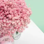 rosy-charm-box (4)