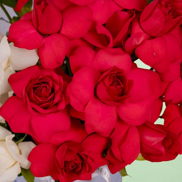 Romantic flower box with thirty premium red and white roses beautifully styled in a luxurious round presentation box.