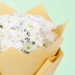white-floral-symphony_2026_02