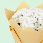 white-floral-symphony_2026_03