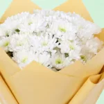 white-floral-symphony_2026_04